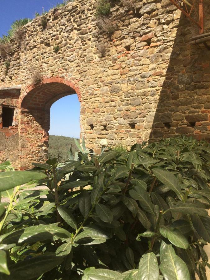 شقة Mansarda Degli Ulivi Rigomagno المظهر الخارجي الصورة